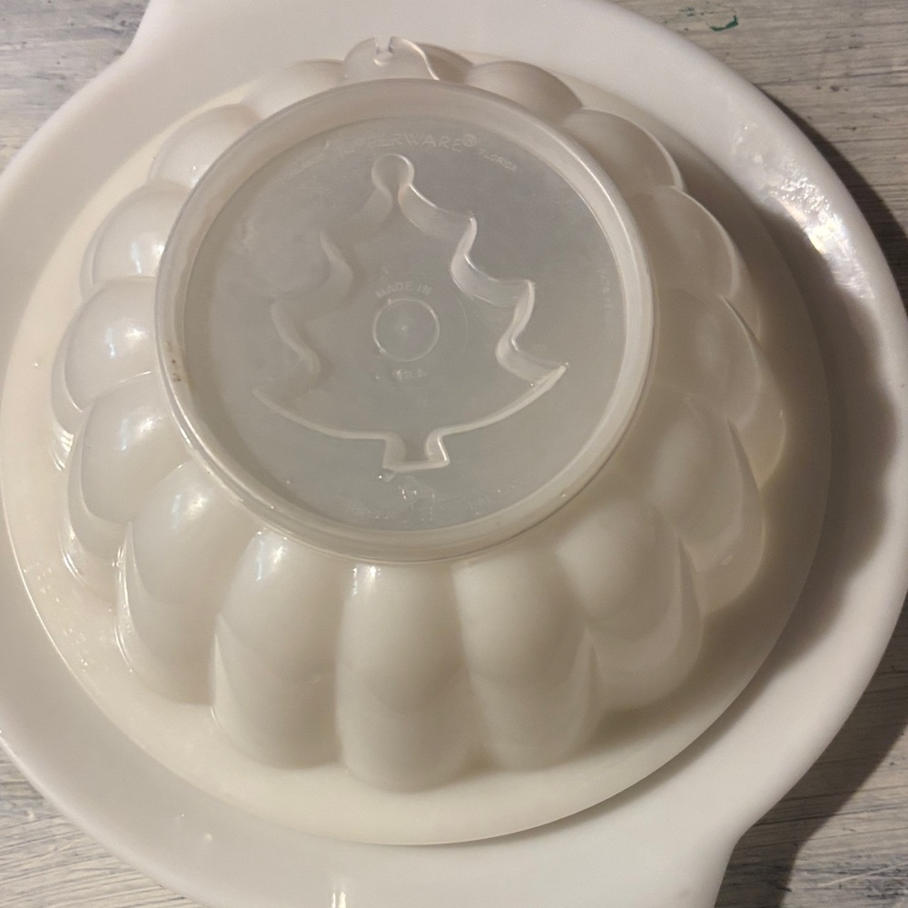 White Plastic Molded Bowl